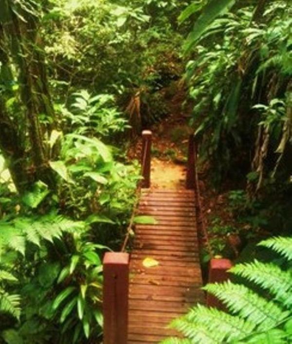 Hotel Bosques Do Massaguacu Caraguatatuba Zewnętrze zdjęcie